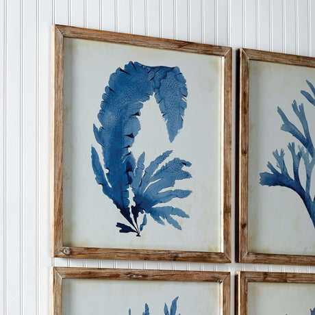 Vintage Coastal Blue Coral Prints with Whitewashed Wood Frames (Set of 4)-Artwork-Parc Decor