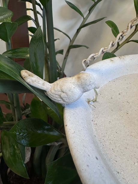 Vintage Distressed White Hanging Bird Feeder-Bird Feeder-Parc Decor