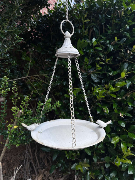 Vintage Distressed White Hanging Bird Feeder-Bird Feeder-Parc Decor