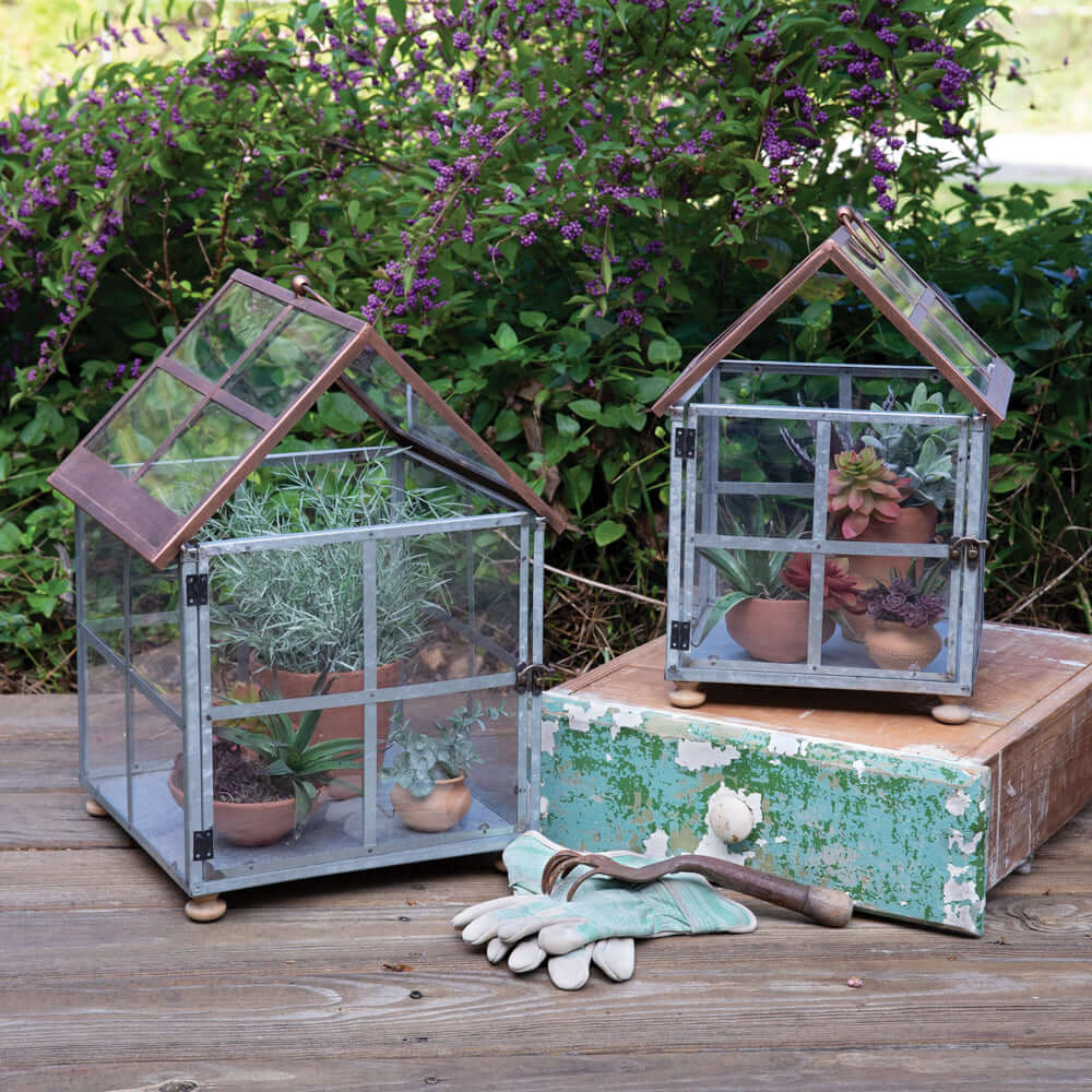 Vintage Farmhouse Glass and Metal Terrariums (Set of 2)-Terrariums-Parc Decor