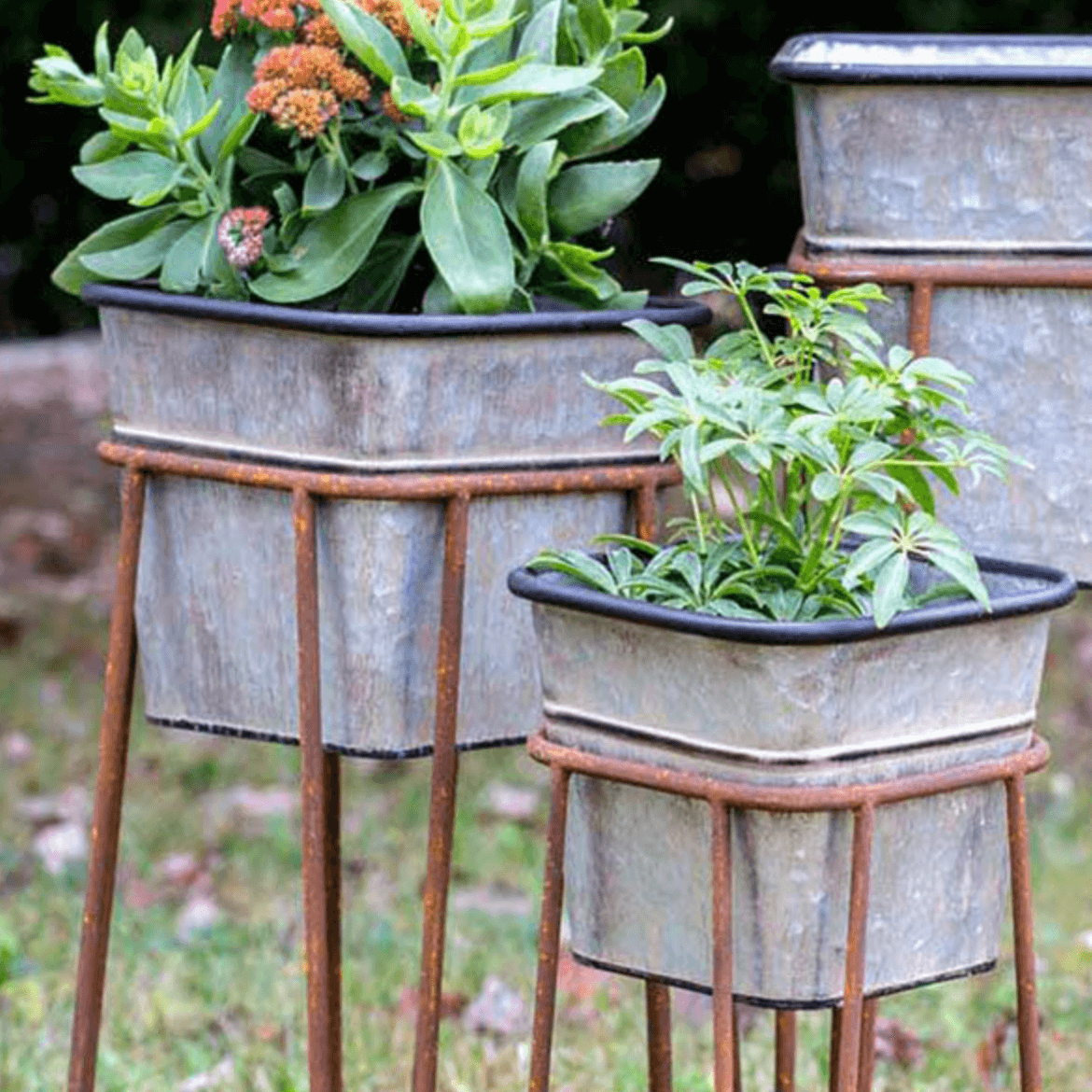 Vintage Galvanized Metal Planters with Rusted Stands (Set of 3)-Planters-Parc Decor