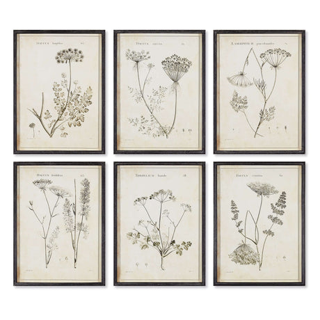 Vintage Monochromatic Botanical Wildflower Wall Art (Set of 6)-Artwork-Parc Decor