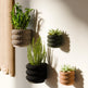 Wall Planter - Triple BUBBLES-Planter-Parc Decor