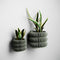Wall Planter - Triple BUBBLES-Planter-Parc Decor