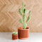 Weave Planter-Planter-Parc Decor