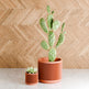 Weave Planter-Planter-Parc Decor