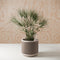 Weave Planter-Planter-Parc Decor