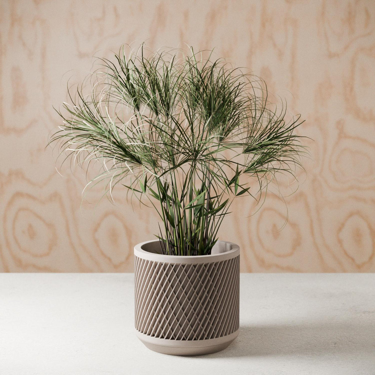 Weave Planter-Planter-Parc Decor