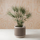 Weave Planter-Planter-Parc Decor