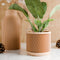 Weave Planter-Planter-Parc Decor