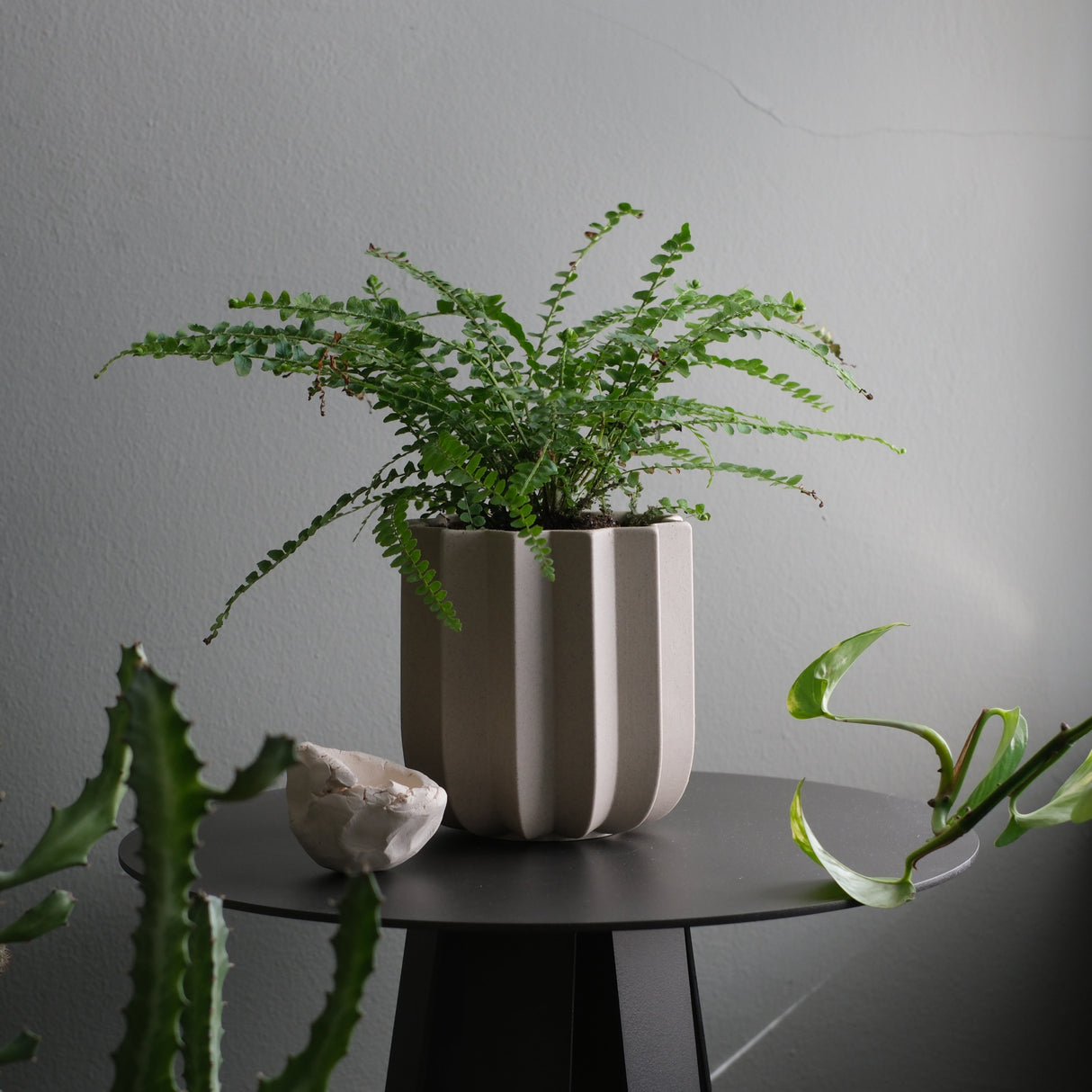 Wrap Planter - 4 sizes