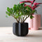 Wrap Planter - 4 sizes-Pots & Planters-Parc Decor