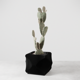 Xenova Planter-Planter-Parc Decor