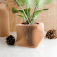 Xenova Planter-Planter-Parc Decor