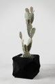 Xenova Planter-Planter-Parc Decor