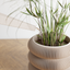 ZENFLOW Watering Can